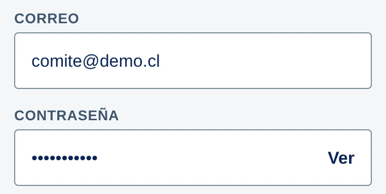 Entrada de la app: campos Correo y Contraseña, con el botón Ver.